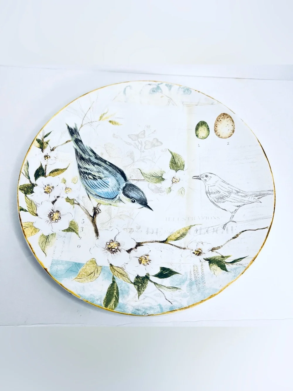 Pier 1 Imports Field Notes Bird Floral Earthenware Dinner Plate 9” Nature